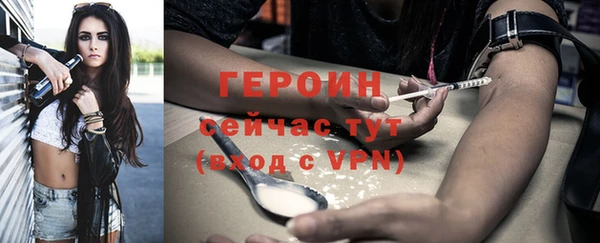 прущие грибы Волоколамск
