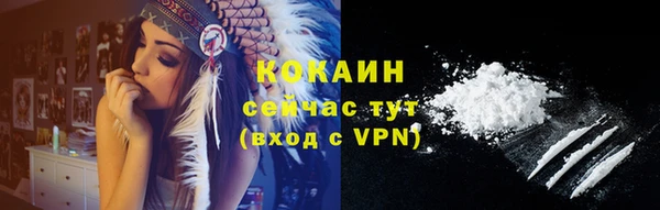 прущие грибы Волоколамск