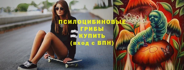 прущие грибы Волоколамск