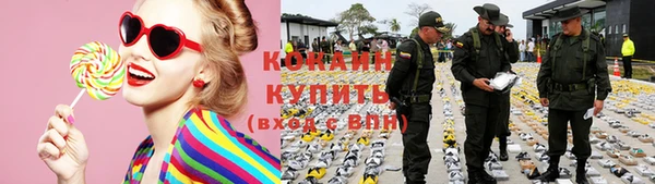 прущие грибы Волоколамск