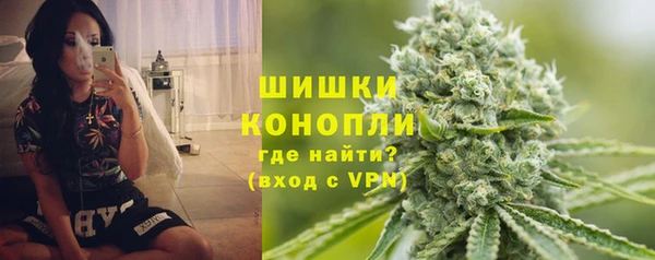 прущие грибы Волоколамск